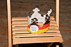 Schtzenverein Neubrger